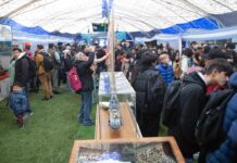 Malvinas late fuerte en Río Grande: masiva participación popular en la Carpa de la Dignidad
