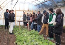 El Municipio de Río Grande recibió a la UNTDF y presentó los avances de la Chacra Agroexperimental “Germán Asencio”