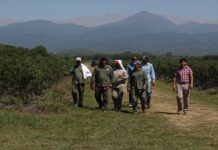 El RENATRE publicó junto con la OIT un estudio sobre trabajo migrante temporario en el sector rural