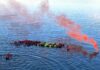 Últimos días de inscripción: Prefectura Naval convoca a cursos STCW-78 en Tierra del Fuego