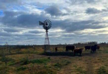 RENATRE lanza curso virtual sobre bio-regeneración de suelos