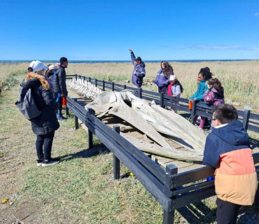 En Mayo, disfruta de las actividades del Centro de Interpretación Ambiental