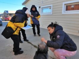Despliegue territorial de servicios veterinarios en Zona Sur y B° Malvinas Argentinas