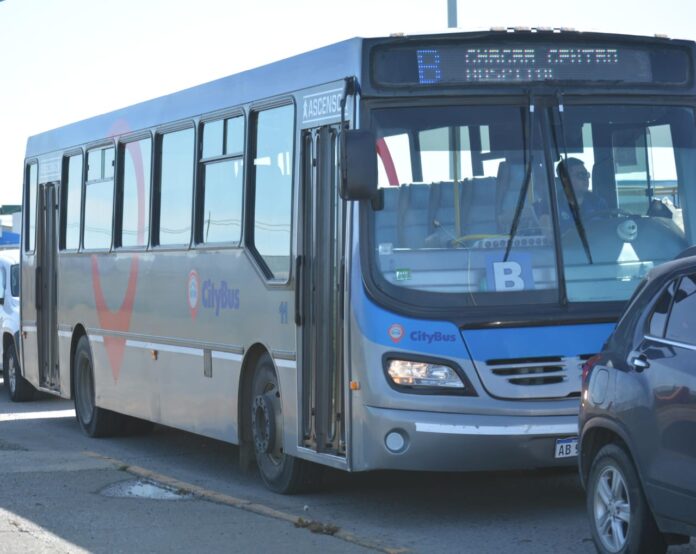colectivo