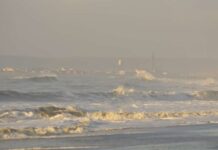 Este lunes, alerta amarilla por fuertes vientos, se esperan ráfagas de hasta 110 km/h