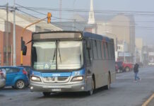 “Aprendo a tomar el cole”: Río Grande impulsa la autonomía de las personas con discapacidad en el transporte público