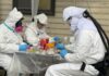 Descartan que Ushuaia haya sido el origen de los casos de hantavirus del crucero MV Hondius