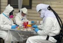 Descartan que Ushuaia haya sido el origen de los casos de hantavirus del crucero MV Hondius