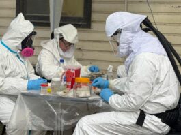 Descartan que Ushuaia haya sido el origen de los casos de hantavirus del crucero MV Hondius