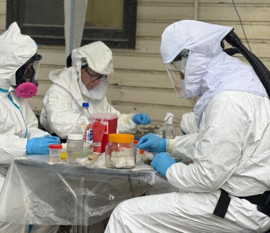Descartan que Ushuaia haya sido el origen de los casos de hantavirus del crucero MV Hondius