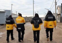 Servicios Veterinarios intervino tras un violento ataque a animales en una Chacra de Apymema