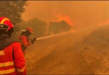 España enfrenta el incendio forestal más grande de su historia: afectó a más de 100.000 personas