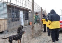 Continúan los operativos de Servicios Veterinarios con acciones de prevención y bienestar animal