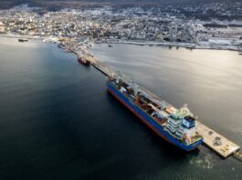 Arribó el barco con las 6200 toneladas de equipamiento para la nueva usina de Ushuaia