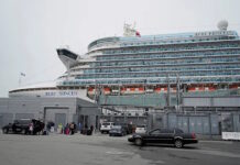 Estados Unidos: más de 100 personas se contagiaron de norovirus en un crucero