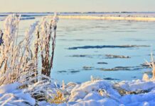 Alerta amarilla por frío extremo para Tierra del Fuego