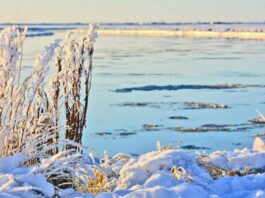 Alerta amarilla por frío extremo para Tierra del Fuego