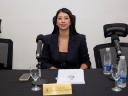 Se aprobó el proyecto de la concejal Vargas para prevenir el congelamiento del agua
