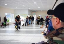 “Patitas Comunitarias” llega a Casa de Jóvenes con actividades para toda la comunidad