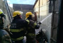 Una salamandra provocó un principio de incendio y daños en una vivienda