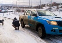 Zoonosis intensifica los controles en Ushuaia: 20 actas y dos canes capturados