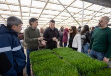 «Recuperamos este espacio para ponerlo al servicio de de la producción y del futuro de Río Grande»