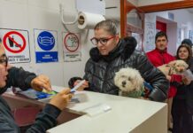 “Río Grande: aplicaron 199 vacunas antirrábicas y chipearon a 73 perros”