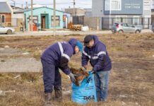 Se lleva adelante el Plan de Saneamiento Urbano en Río Grande