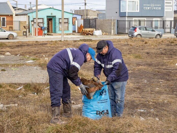 basura