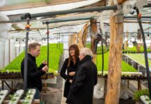 Gobierno apuesta a conectar a productores y emprendedores para potenciar la economía fueguina