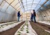 La Chacra Municipal Agroexperimental se potencia junto a Río Grande Activa