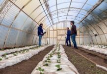 La Chacra Municipal Agroexperimental se potencia junto a Río Grande Activa