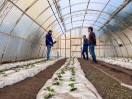 La Chacra Municipal Agroexperimental se potencia junto a Río Grande Activa