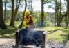 Este 1 de octubre comienza una nueva temporada de alta peligrosidad de incendios forestales en Tierra del Fuego