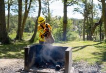 Este 1 de octubre comienza una nueva temporada de alta peligrosidad de incendios forestales en Tierra del Fuego