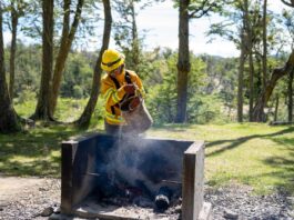 Este 1 de octubre comienza una nueva temporada de alta peligrosidad de incendios forestales en Tierra del Fuego