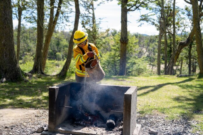 forestal