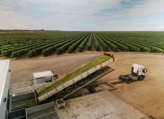 El RENATRE otorgó nuevas certificaciones de Prácticas Laborales Sostenibles y renovó su sello la Sociedad Rural de Formosa